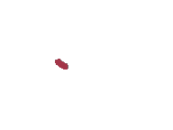 Loading...